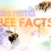2022-Bee-Facts-Banner-1.png